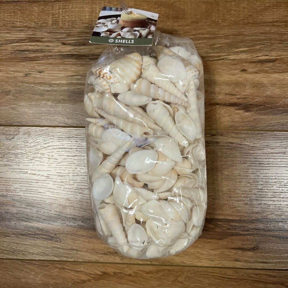 Bag Of Assorted White Sea Shells 1lb 9oz Small Ocean NEW